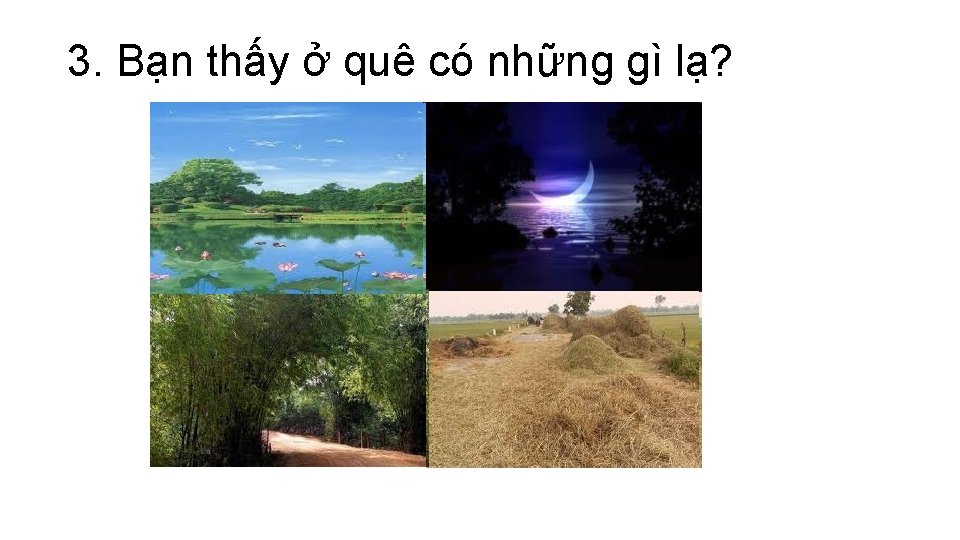 3. Bạn thấy ở quê có những gì lạ? 