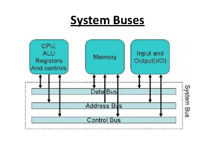 System Buses 