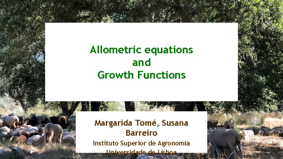 Allometric equations and Growth Functions Margarida Tomé, Susana Barreiro Instituto Superior de Agronomia Universidade Allometric equations and Growth Functions Margarida Tomé, Susana Barreiro Instituto Superior de Agronomia Universidade