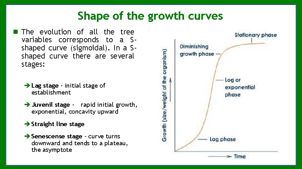 Shape of the growth curves The evolution of all the tree variables corresponds to Shape of the growth curves The evolution of all the tree variables corresponds to