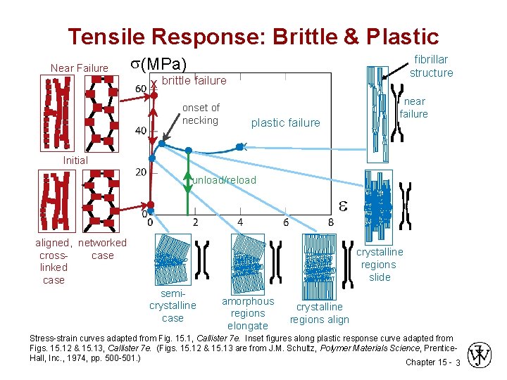 Tensile Response: Brittle & Plastic Near Failure (MPa) fibrillar structure x brittle failure onset