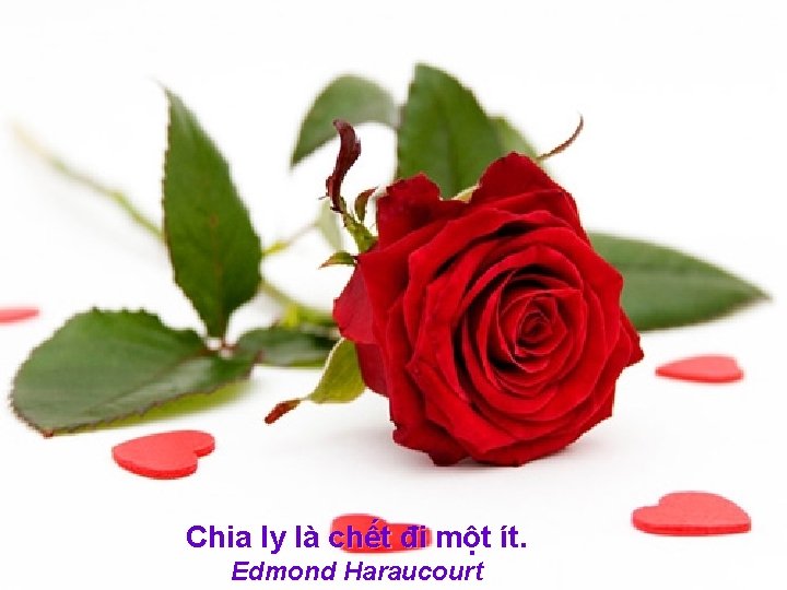 Chia ly là chết đi một ít. Edmond Haraucourt 