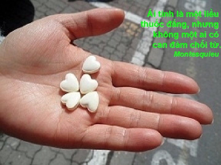 Ái tình là một liều thuốc đắng, nhưng không một ai có can đảm