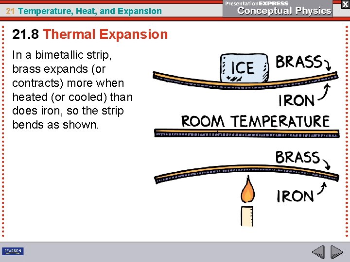 21 Temperature, Heat, and Expansion 21. 8 Thermal Expansion In a bimetallic strip, brass