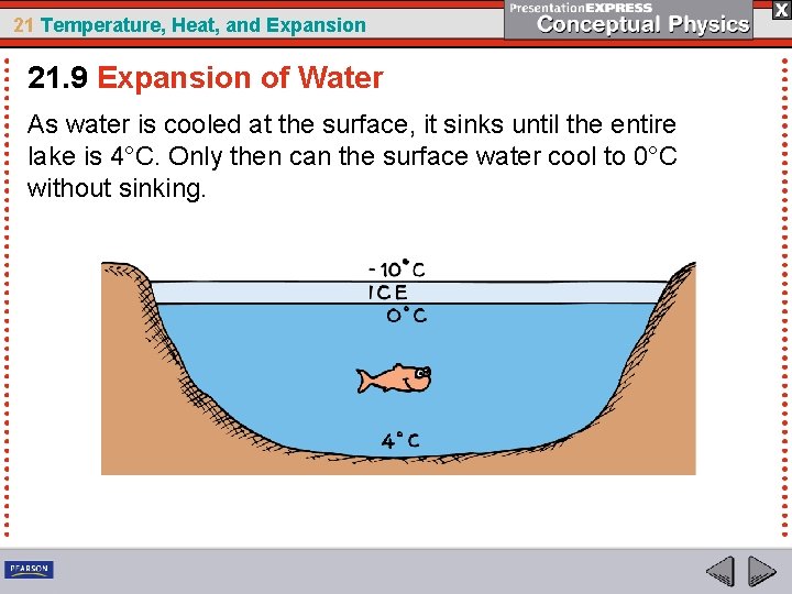 21 Temperature, Heat, and Expansion 21. 9 Expansion of Water As water is cooled