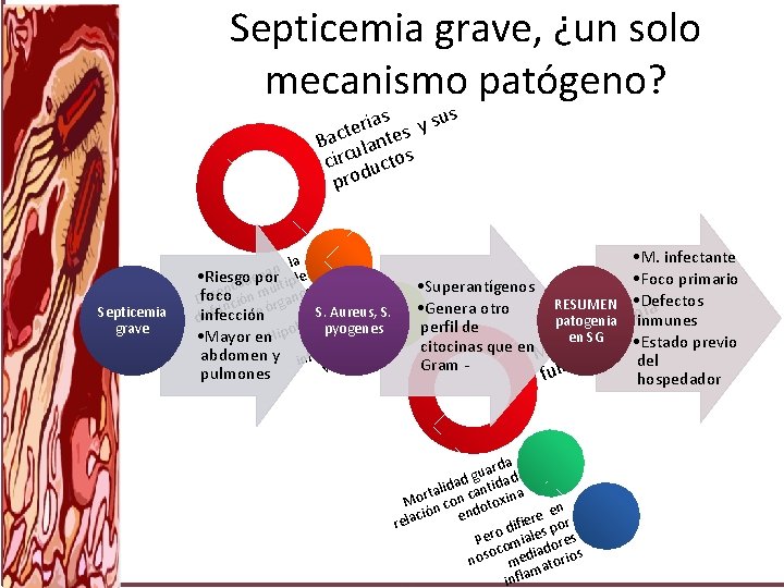 Septicemia grave, ¿un solo mecanismo patógeno? as y sus i r e t Bac