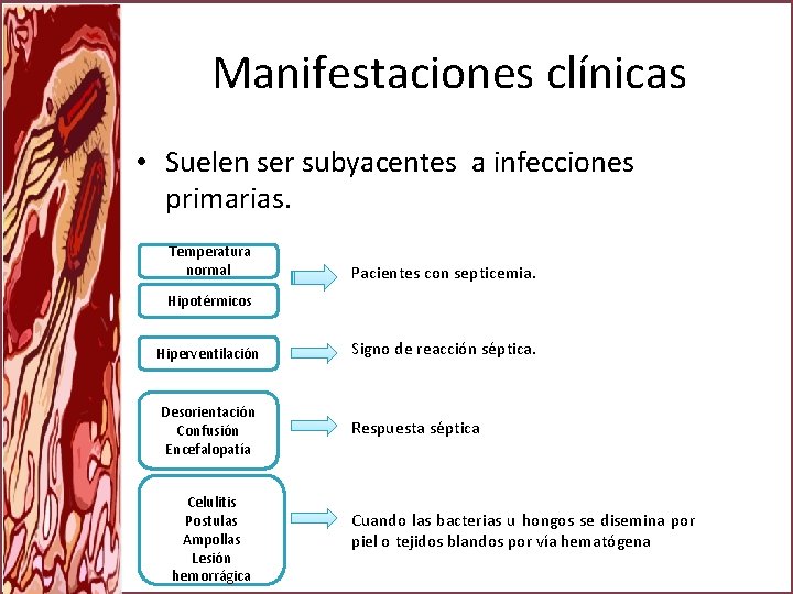 Manifestaciones clínicas • Suelen ser subyacentes a infecciones primarias. Temperatura normal Pacientes con septicemia.