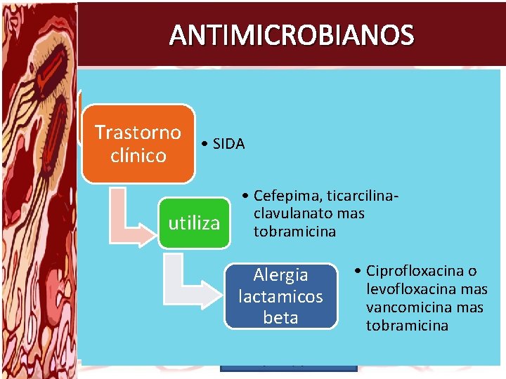 ANTIMICROBIANOS Mientras se Instaurarse un Trastorno • esplenectomía Bacterias gram • Adulto inmuno Trastorno