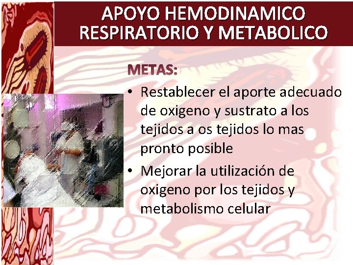 APOYO HEMODINAMICO RESPIRATORIO Y METABOLICO • Restablecer el aporte adecuado de oxigeno y sustrato