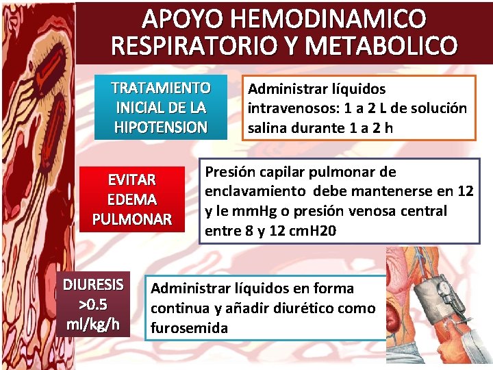 APOYO HEMODINAMICO RESPIRATORIO Y METABOLICO TRATAMIENTO INICIAL DE LA HIPOTENSION EVITAR EDEMA PULMONAR DIURESIS