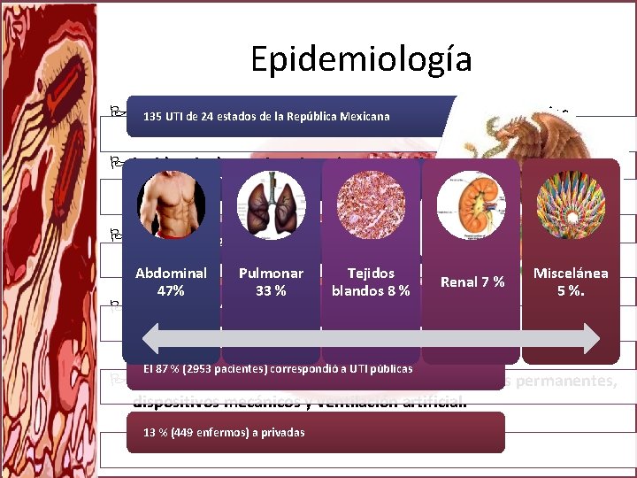 Epidemiología La 135 septicemia causa EU más de 200 000 muertes anuales. UTI de