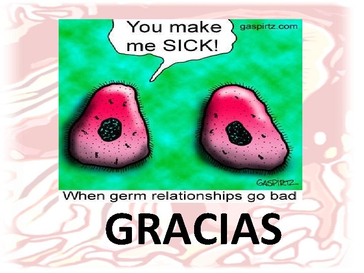 GRACIAS 