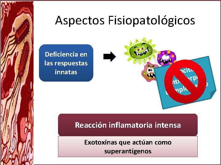 Aspectos Fisiopatológicos Deficiencia en las respuestas innatas s o t i c o Fag
