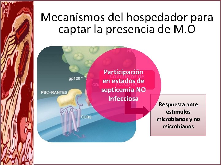 Mecanismos del hospedador para captar la presencia de M. O Participación Complejos de en