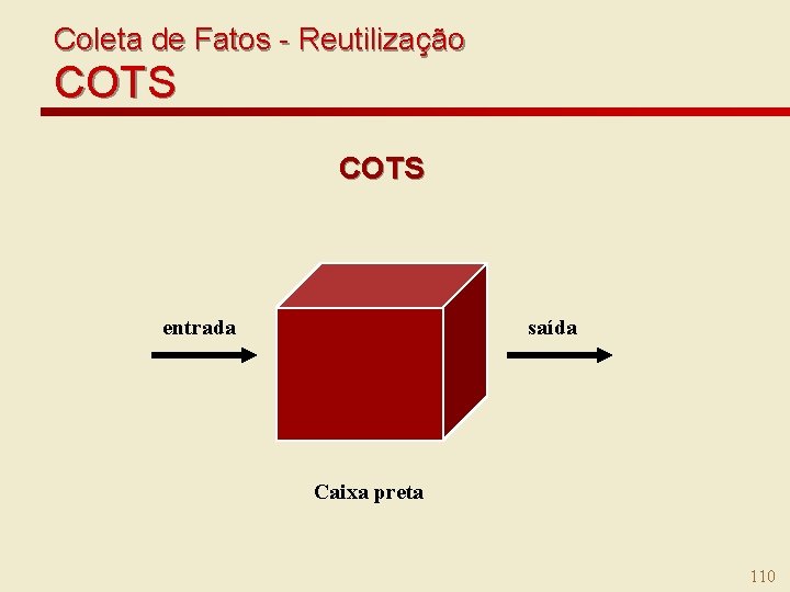 Coleta de Fatos - Reutilização COTS entrada saída Caixa preta 110 