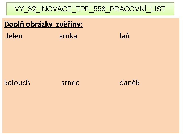 VY_32_INOVACE_TPP_558_PRACOVNÍ_LIST Doplň obrázky zvěřiny: Jelen srnka laň kolouch daněk srnec 