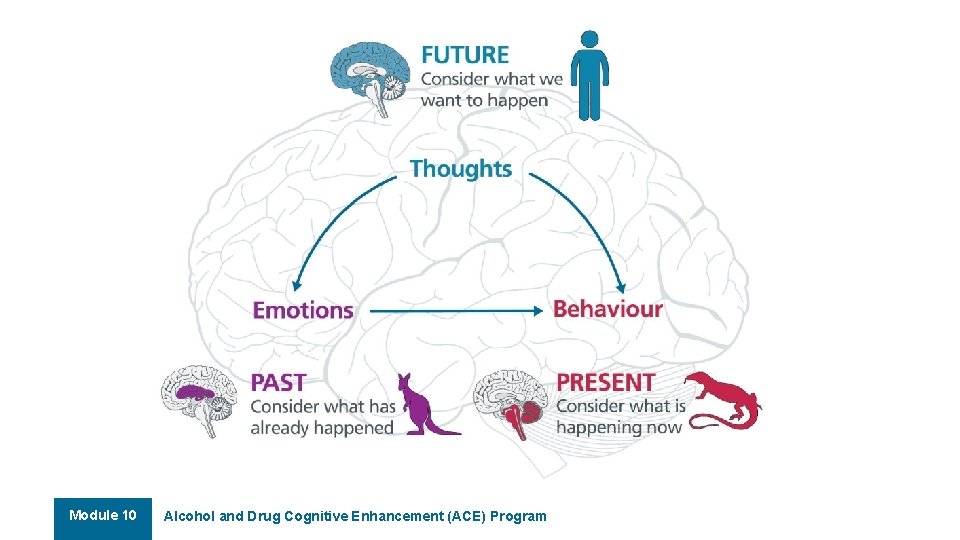 Module 10 Alcohol and Drug Cognitive Enhancement (ACE) Program 