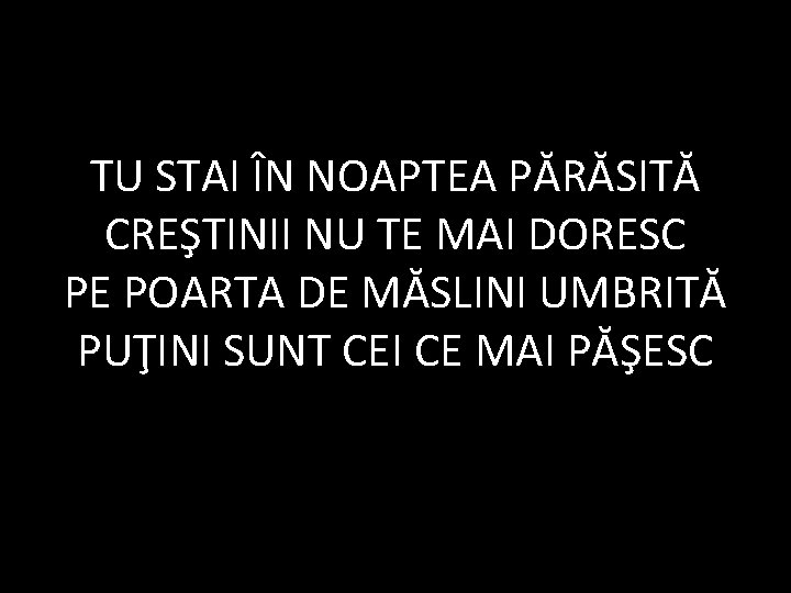 TU STAI ÎN NOAPTEA PĂRĂSITĂ CREŞTINII NU TE MAI DORESC PE POARTA DE MĂSLINI