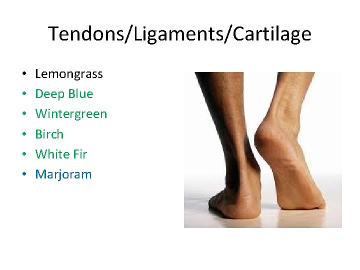 Tendons/Ligaments/Cartilage • • • Lemongrass Deep Blue Wintergreen Birch White Fir Marjoram 