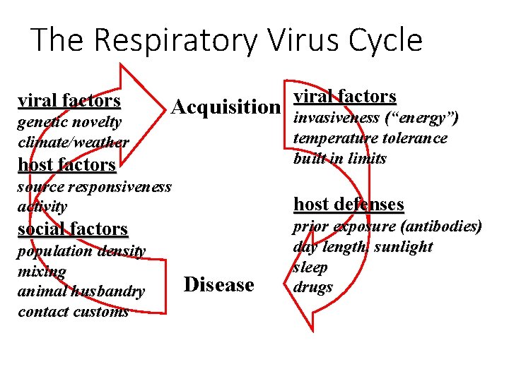 The Respiratory Virus Cycle viral factors Acquisition viral factors host factors invasiveness (“energy”) temperature