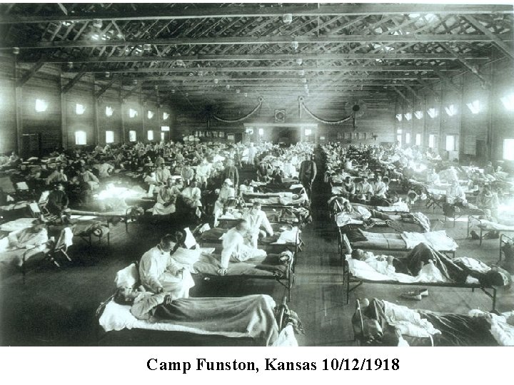 Camp Funston, Kansas 10/12/1918 