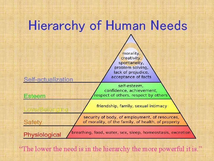 Hierarchy of Human Needs “The lower the need is in the hierarchy the more