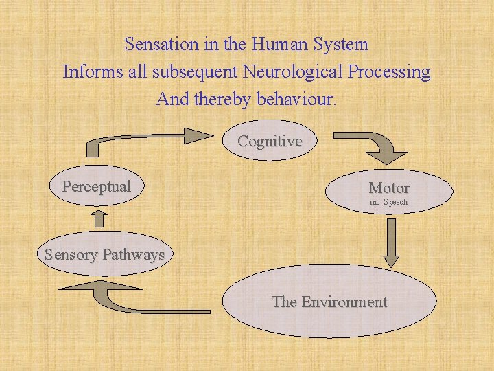 Sensation in the Human System Informs all subsequent Neurological Processing And thereby behaviour. Cognitive