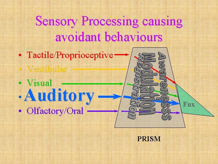 Sensory Processing causing avoidant behaviours • • • Tactile/Proprioceptive Vestibular Visual Auditory Fnx Olfactory/Oral