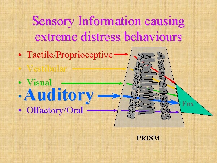 Sensory Information causing extreme distress behaviours • • • Tactile/Proprioceptive Vestibular Visual Auditory Fnx