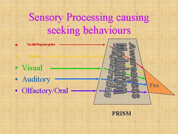 Sensory Processing causing seeking behaviours • • • Tactile/Proprioceptive Vestibular Visual Auditory Olfactory/Oral Fnx