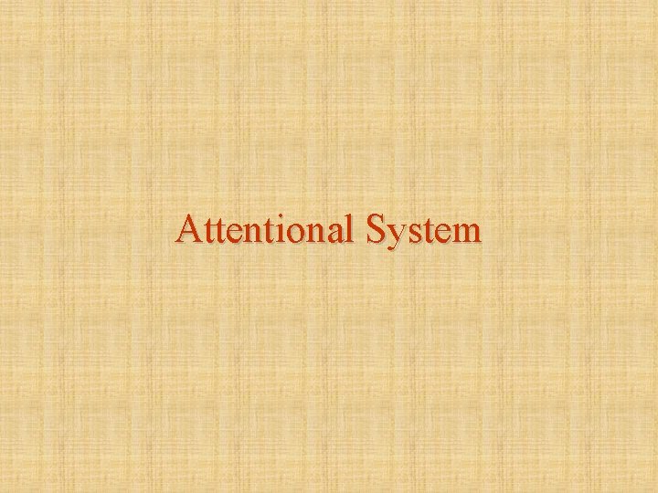 Attentional System 