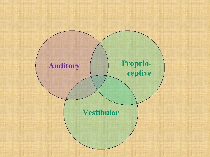 Proprioceptive Auditory Vestibular 