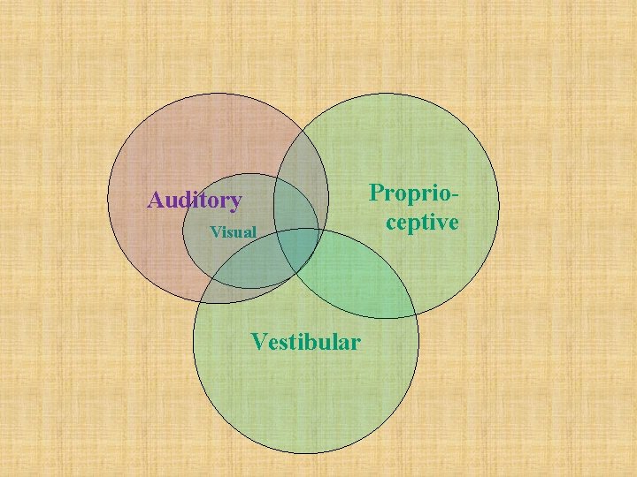Auditory Visual Vestibular Proprioceptive 