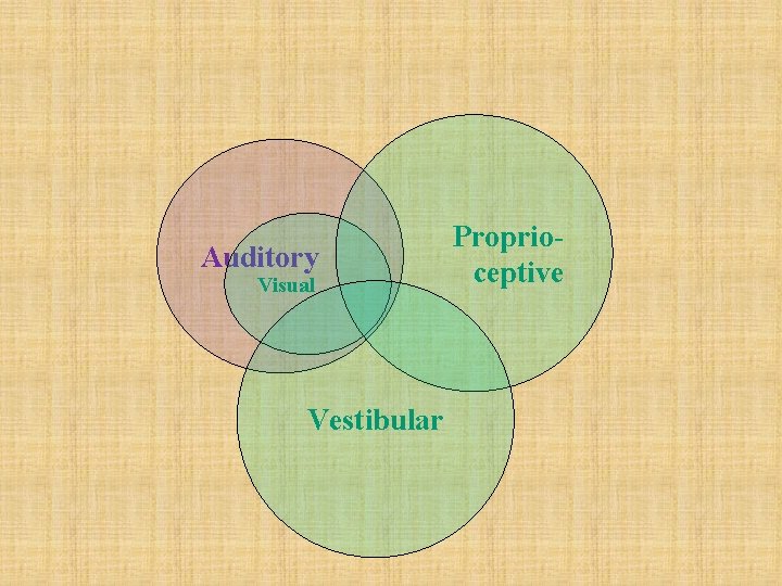Auditory Visual Vestibular Proprioceptive 