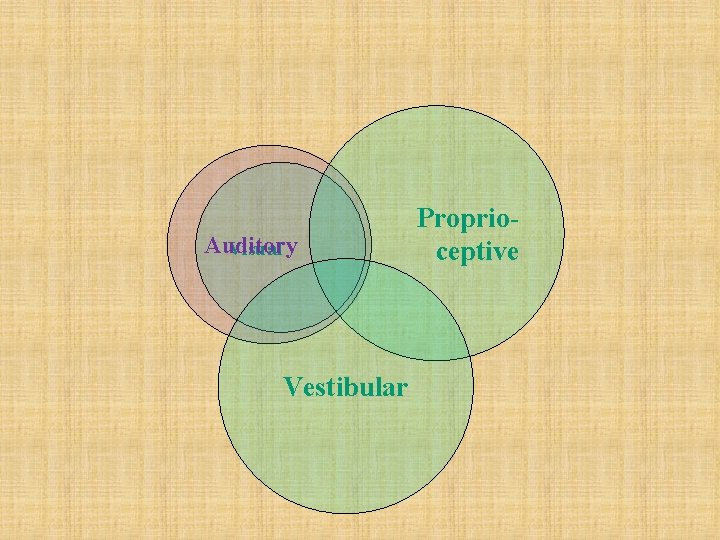 Auditory Visual Vestibular Proprioceptive 