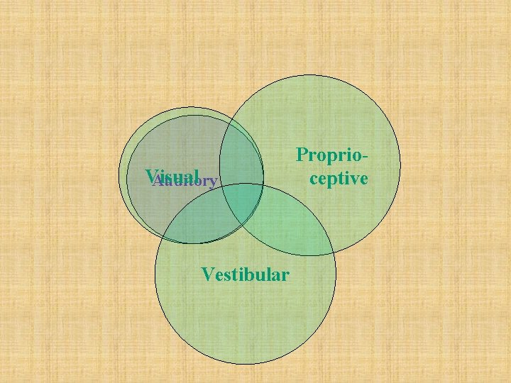 Visual Auditory Vestibular Proprioceptive 