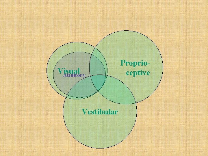 Visual Auditory Vestibular Proprioceptive 