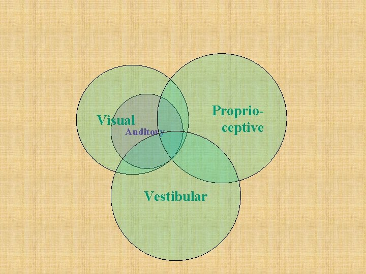 Visual Auditory Vestibular Proprioceptive 