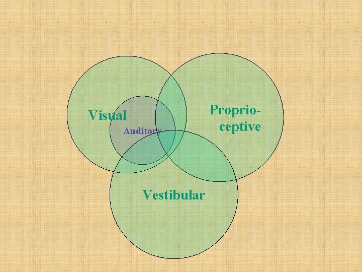 Visual Auditory Vestibular Proprioceptive 