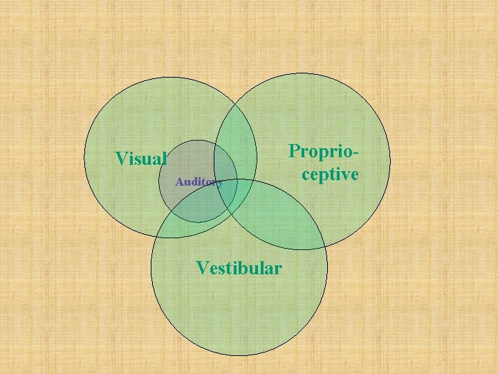 Visual Auditory Vestibular Proprioceptive 