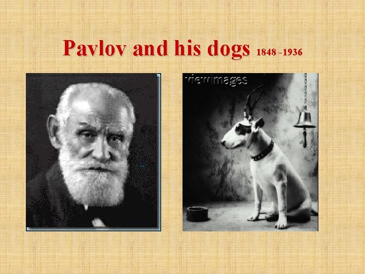 Pavlov and his dogs 1848 -1936 