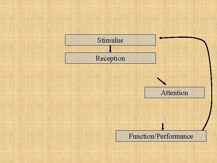 Stimulus Reception Attention Function/Performance 