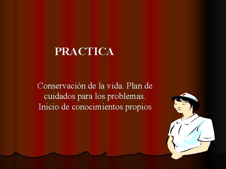 PRACTICA Conservación de la vida. Plan de cuidados para los problemas. Inicio de conocimientos