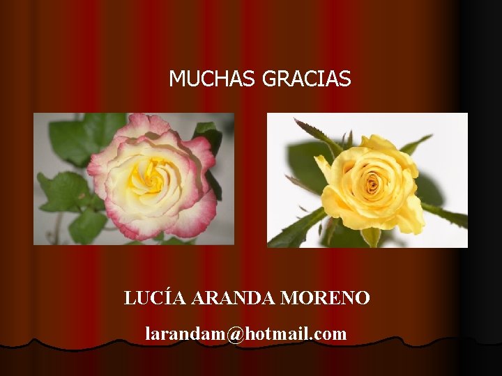 MUCHAS GRACIAS LUCÍA ARANDA MORENO larandam@hotmail. com 