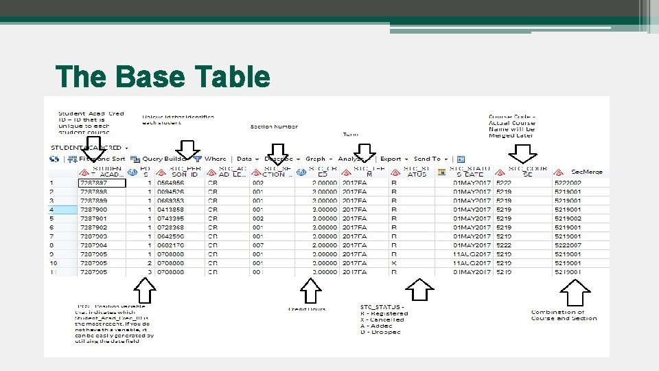 The Base Table 