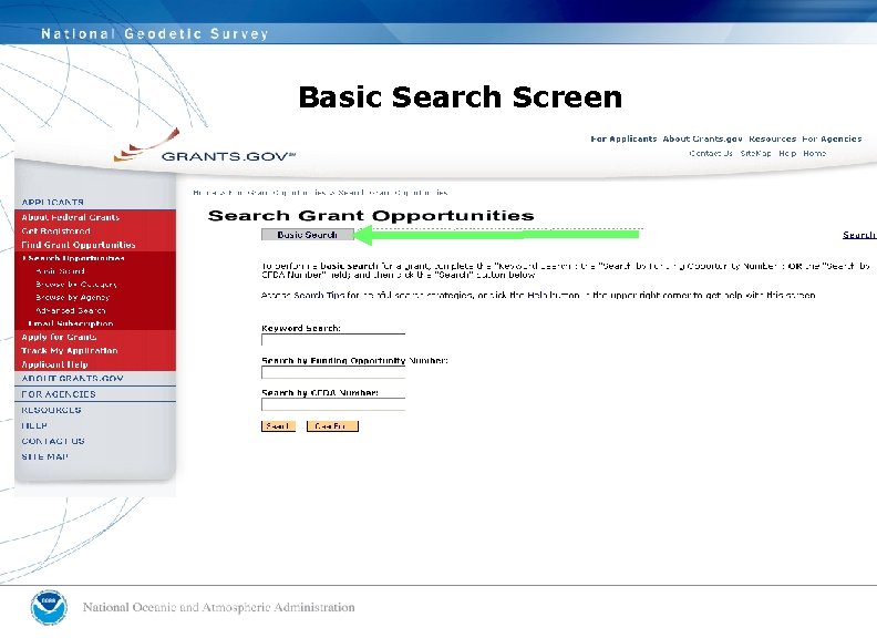 Basic Search Screen 