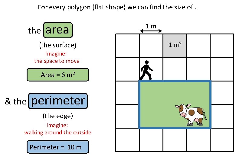 For every polygon (flat shape) we can find the size of… the area (the