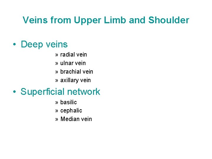 Veins from Upper Limb and Shoulder • Deep veins » » radial vein ulnar