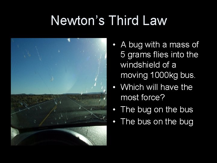 Newton’s Third Law • A bug with a mass of 5 grams flies into