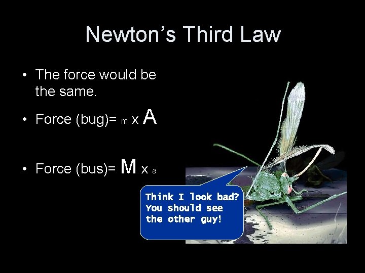 Newton’s Third Law • The force would be the same. • Force (bug)= m